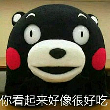 1个迷人的小萝卜头采集到熊本熊（表情包）