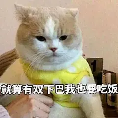 今日份无水印沙雕表情包 点赞好运 ​​​​