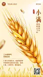 金融保险小满节气祝福创意插画海报