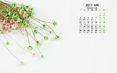 小雏菊背景2017年4月日历桌面壁纸