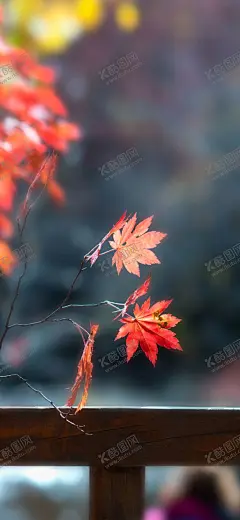 手机壁纸 【酷图网】手机壁纸,卡通壁画,手绘卡通封面,唯美壁画,漫画手绘,创意装饰画,客厅壁画,漫画插画,日记本封面,北欧挂画,手绘素材,可爱装饰画,创意插画,欧式装饰画,儿童房挂画,手绘元素,漫画素材,水彩画,可爱漫画,大自然油画