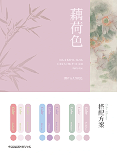 懈言采集到色卡