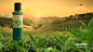 Caplang Eucalyptus Aromatherapy Key Visual Editorial