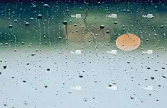 雨 壁纸4K 滴 下雨 湿的 飞沫 笔记本电脑壁纸 桌面背景