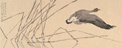 风筝牧羊采集到绘画