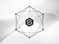 Share Ventures branding branding animation 3d logo 3d splash brand agency intro motion s symbol logotype ventures share logo brand illustration