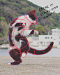 a black and white cat is playing with string art on the beach by some water