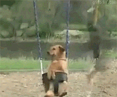 点小点采集到搞笑gif