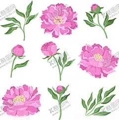 手绘花 【酷图网】手绘花卉,水彩花,花,花卉素材,玫瑰花,叶子,水彩叶子,树叶,手绘花朵,清新水彩,清新,矢量花,唯美,花束,花朵,植物,花卉手绘,花卉插画