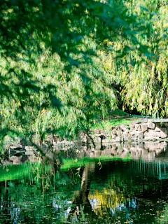 小纤纤采集到美丽乡村