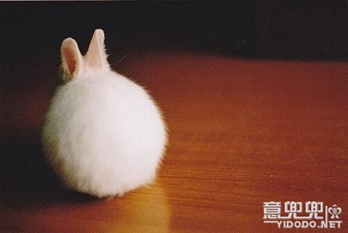 我就喜欢一直卖萌 - LOMO - 意兜...
