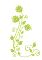 绿色花枝