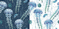 Jellyfish! Seamless patterns set : Sea Jellyfish Vector seamless Patterns set. Goods for all kinds of printing such: package design, postcards, useful for product mock-ups, flyers, t-shirts, typography and much more.