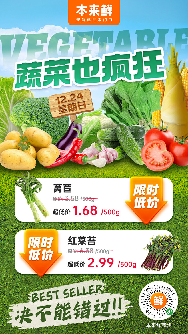 蔬菜也疯狂（24）