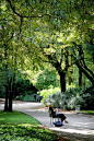 Paris, Jardin du Luxembourg