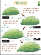 草丛