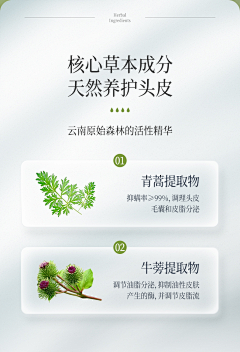花生iii采集到详情成分