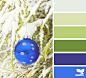 holiday hues - color palette from Design Seeds
