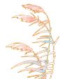 冬季中国风植物动态插画-芦苇9