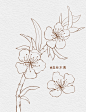 植物花卉线稿_森林木偶__插画师作品_涂鸦王国gracg.com