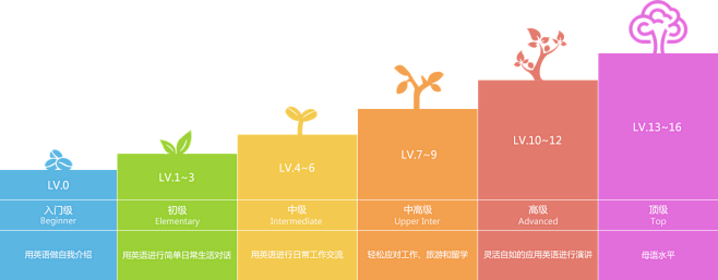 课程体系