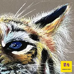 儿童画 简笔画 线描 重彩 写生 速写 油画棒 绘画 手绘 创意绘画 插画 绘画视频在线教学 微hxL592121