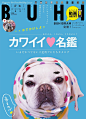 日本近期杂志封面设计。_|版式灵感|◈B _急急如率令-B25228746B- _T2019313 #率叶插件，让花瓣网更好用_http://jiuxihuan.net/lvye/#