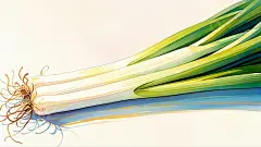 水彩插画大葱高清模板免费下载-趣麦麦图