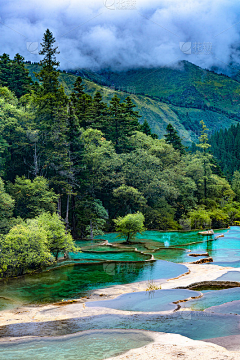 喵与花采集到风景