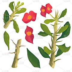 手绘一套仙人掌元素，树仙人掌，树干，刺，叶子，花。