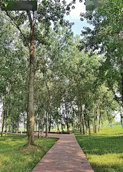 滨水景观 | 河水与绿带相得益彰的临澧道水河柳林公园景观设计_城市 : 设计团队追溯河流的历史，结合现状，赋予城市活力和精神重生，再一次重塑过去。座凳上雕刻着临澧城市名片，结合音乐喷泉和灯光，增强景观的认同感。 设计依托原始生态基础，打造能抵御暴雨的隐形防洪堤防和景观…