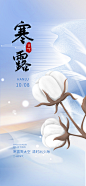 寒露_1