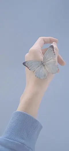 手 - 堆糖，美图壁纸兴趣社区