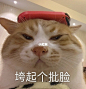 是你喜欢的可爱表情包吗？ : 刚才他们说等女生 只需要把车停在酒吧门口 我试了一下 结果被人扫码骑走了