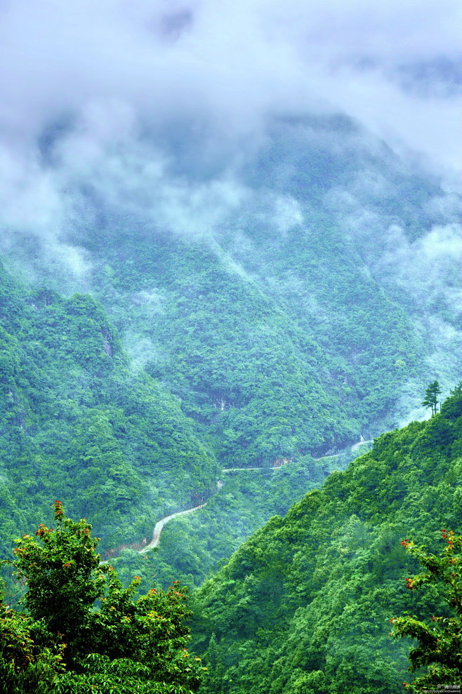 浙江黄岩布袋山#布袋山大峡谷，云雾缭绕、...