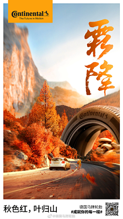 笨晓姐采集到车海报