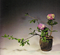 《花艺》作品：人间仙境
人坦坦而行，物舒朗而阔，这里没有争执与妄念，一切都那么平静与真实，可谓人间仙境。
花材：李子 洋绣球
花器：陶提勇
出处：《花赏》
作者王国忠