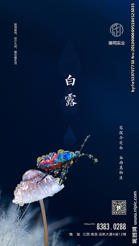 白露