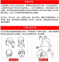 医用压缩三角巾急救包吊带厚纯棉红十字三角巾包扎绷带培训专用【图片 价格 品牌 报价】-京东