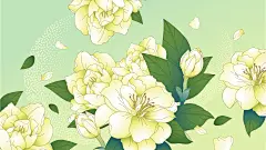 原创矢量插画栀子花开