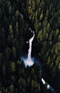 糖荳采集到风景