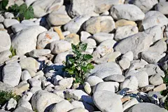 西班牙因地中海遇上石块