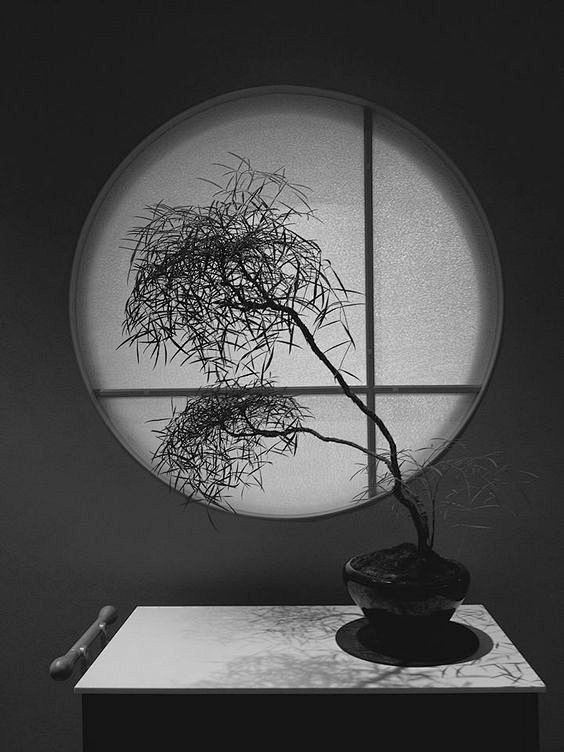 Bonsai at The Vangi ...