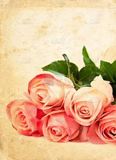 贺卡,咖啡,玫瑰,摇滚乐,自然,垂直画幅,太空,图像特效,旅游目的地,无人