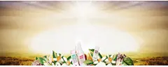 干货零食馒头海报广平面广告_新图网 https://ixintu.com 干货 广告设计模板 海报设计 零食 馒头