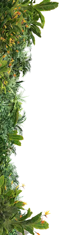 热带绿植植物森林树林海报合成免抠PNG素材：