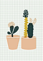 I really like the grid/graph paper used as a background in this images. It works parallel to the use of geometric cut outs used for the main illustration of the cactus. Minimalism is key to this design