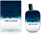 Blue Cedrat - Comme des Garçons - Eau de Parfum (100 ml natural spray)