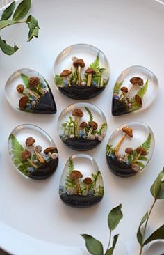 Pinlite-Pinterest中文极...