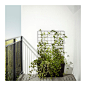 巴尔索 棚架 IKEA 花架可种植植物并提供植物生长所需的支撑，便于放在室外，装饰您的外墙。 您可以垂直或水平安装花架，以适应室外空间。